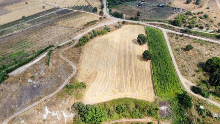 Burhan Ardıç'tan Karacabey Eskikaraağaç 11.100 M2 Göl Kıyısı
