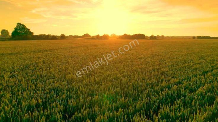 Denizli Bekilli Çamköy'de 4.206 M2 Yatırımlık Düz Tarla. Açıklamayı Okuyarak Arayınız.