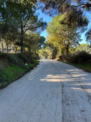 Kozak Çelebi Emlak Tan Villa İmarli Arsa 605 M2