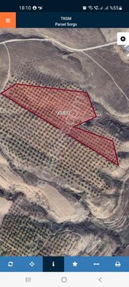 29 Dönu. Kaysi Bahcesi