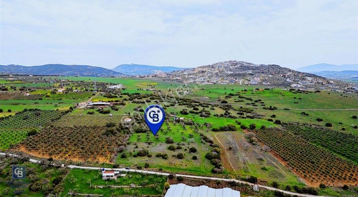 Foça Yenibağarasında Satılık 3 Dönüm Tarla