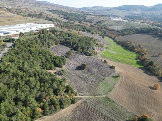 Geyvede 100 Dönüme Yakın Yolu Var Satılık Tarla Komple Satılacak