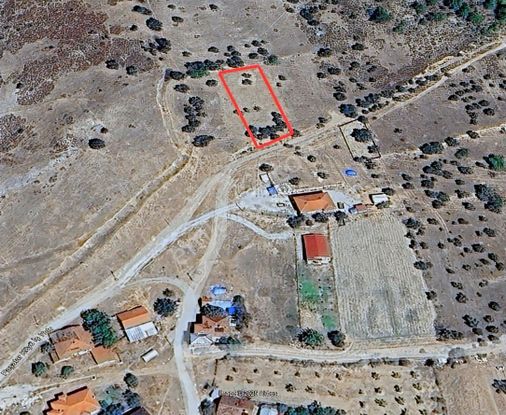 Şükran Gayrimenkul'den Pamukovada 1.092 Mkare Satılık Zeytinlik