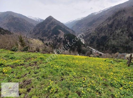 Hatunoğlu'dan Satılık Rize-çamlıhemşin'de 824 M2 Tarla