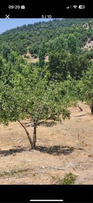 Balcity - Balıkesir Altıeylül 1.530 M2 İmarlı Arsa İçinde 90 M2 2+1 Ev Taşınmaya Hazır