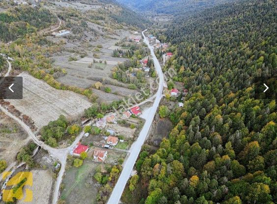 Balcity - Bolu’da Yeşilliğin İçinde Oksijen Deposu Yaşam Alanı-tarıma Hazır Dev Çiftlik Arazi