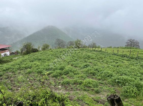 Bungalov Yapımına Uygun Parsel