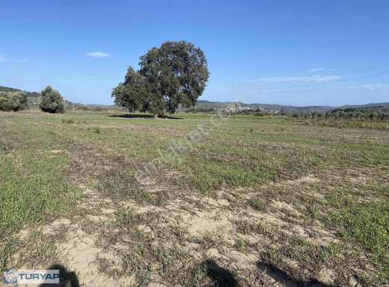 Bodrum Sazköy De Satılık Tarla