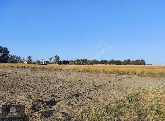 ## 4 Kat İmarlı 1300 M2 16 Adet 3+1 Daire ##