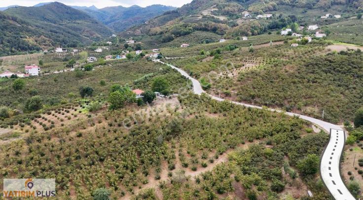 Yatırımplus'tan Ormancık Nebiyan Yoluna Cephe Evyapılabilirtarla