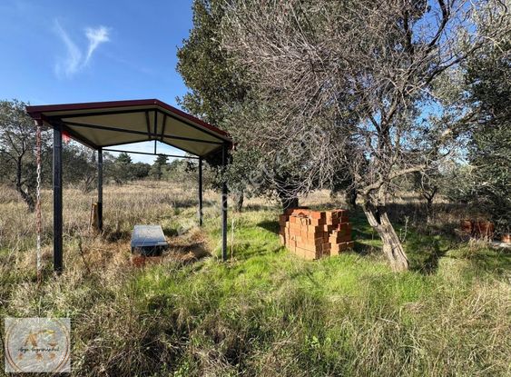 !!!fırsat!!! Arya'dan 8300 M2 Arazi İçersinde Çiftlik Evi