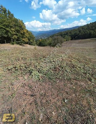 Bolu Mudurnu Taşkesti Şehrin Dibinde 5187m2 Kaçırılmayacak Arsa