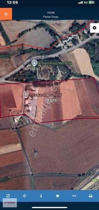 (elektrik & Su Mevcut Çiftlik Kurulumuna Uygun) -aydoğan