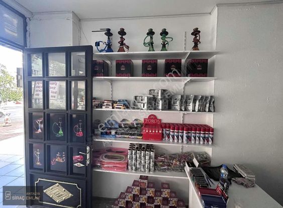 Antalya Dokumada Devren Kiralık Tütüncü