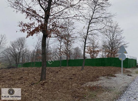 Yoooook Artık Bu Fırsat Kacmaz