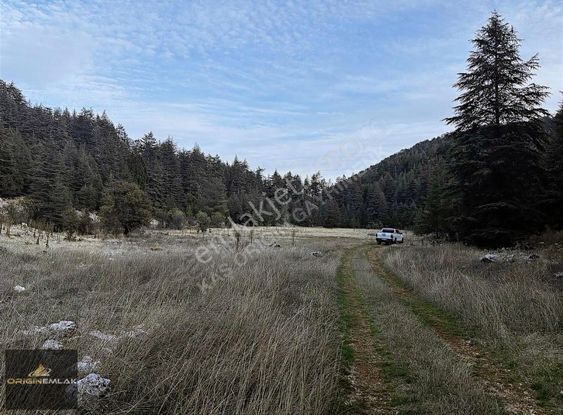 Kaş Hacıoğlanda Orman İçinde 500 M² Yatırım Fırsatı!