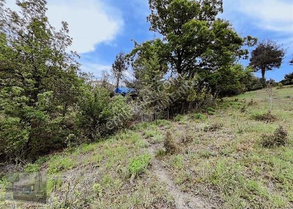 Mersin Toroslar Da 7388 M2 Harika Konumda Tarla Takas Olur