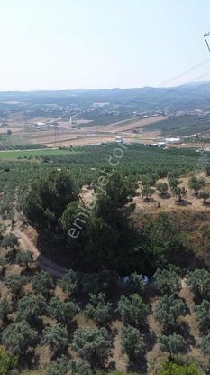 Mürsel'de Fırsat Arazi