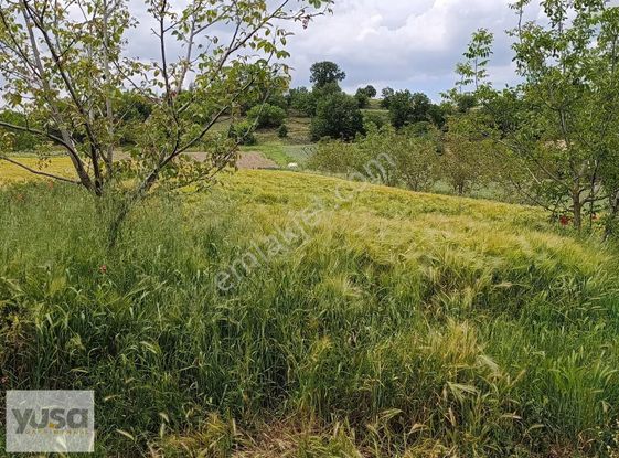 Yuşa'dan Kırklareli Pınarhisar Da Müstakil Tapulu Kupon Yer