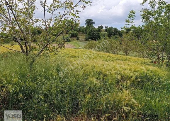 Yuşa'dan Kırklareli Pınarhisar Da Müstakil Tapulu Kupon Yer