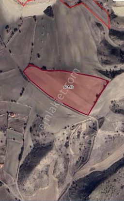 Ayaş Başbereket Mahallesi Yola Cephe 5351 M2 Satılık Hisse