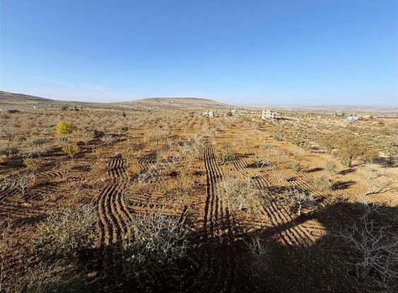 Burhan Kılınç'dan Satılık Villa Özel Mimarisiyle Dizayn Edilmiş
