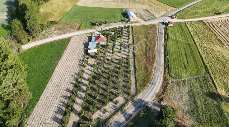 Göynük Kılavuzlarda Asfalt Kenarı Arazi