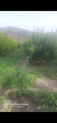 Lütfen Açıklamayı Okuyunuz. Ortaca Akıncıda Devirli 3 Parsel