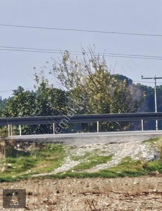 Elit Emlak'tan Ilıcak Su Mevkinde Kaçırılmayacak Çiftlik