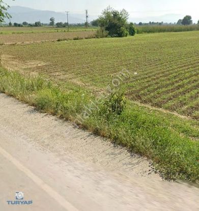 Bayındır Hasköy'de Elektrik-su-yol Mevcut 6792 M2 Satılık Tarla