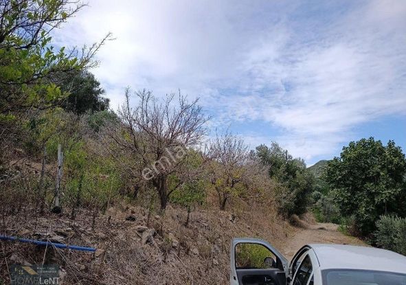 Gümüldür Merkez Satılık Arazi