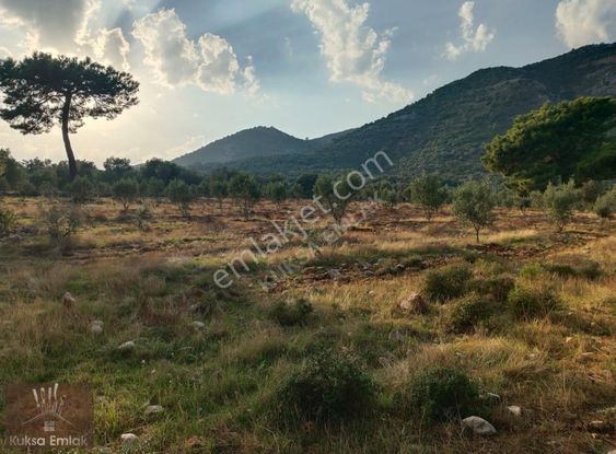 Yakabağ Mahallesinde 11.290m2 Tarla