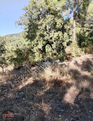 Grow Emlak Satılık 3100 M2 Tarla