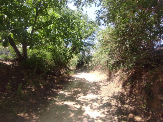 Kütahya Pazarlar Yeniceköyde Yolu Olan Köye Yakın 4712,m2-tarla