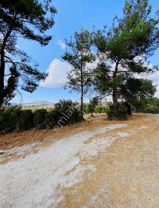 Yatağan Sanayii Sitesine Komşu İmarlı Arsa