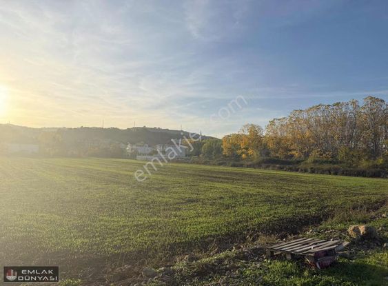 Emlak Dünyası Erenköy Sahil Tarafı 564 M Köşe Başı Satılık Arsa