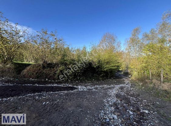Remax Mavi Den 5842 M² Çift Yol Cepheli İmar Sınırında F.bahçesi
