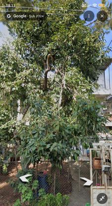 Sahibinden Müstakil Komple Satılık Bina 2 Katlı