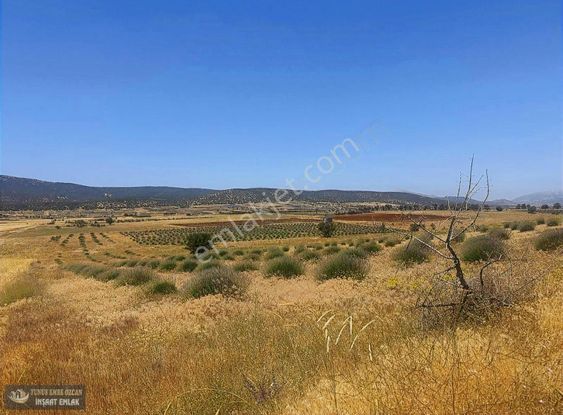 Yunus Emre Özcan İnşaat Emlâk