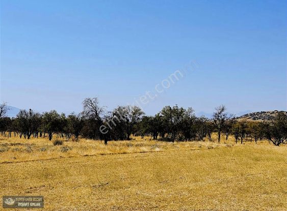 Yunus Emre Özcan İnşaat Emlâk