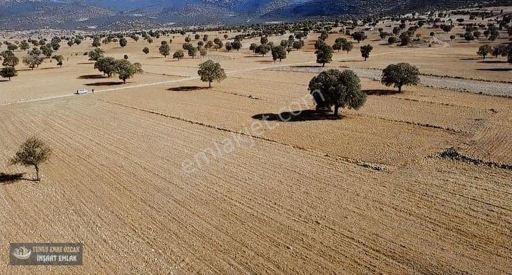 Korkuteli Avdan Susuz Da Satılık Parsel