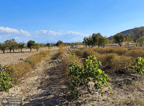 Yunus Emre Özcan İnşaat Emlâk