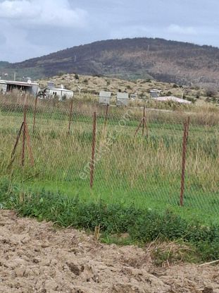 Foça Gerenköyde 125 M2