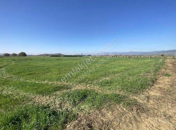 Doğanay Emlaktan Satılık Tarla