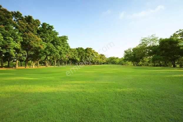 İzmir Selçuk Havutçulu'da 6.549 M2 Cadde Cepheli Tarla. Açıklamayı Okuyarak Arayınız.