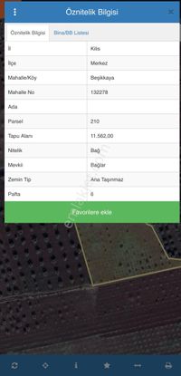 Sahibinden Fıstık Ve Zeytin Tarlası