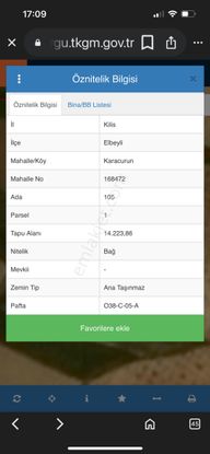Sahibinden Kilis Elbeyli Karacurunda Acil Satlık Tarla