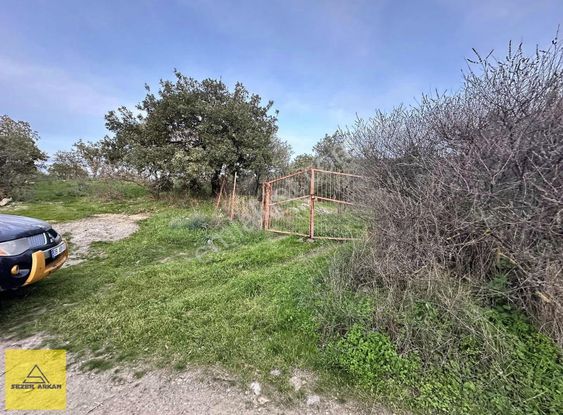 Hisar Köyünde 3.154m2 Kadastral Yollu Etrafı Çevrili Bahçe