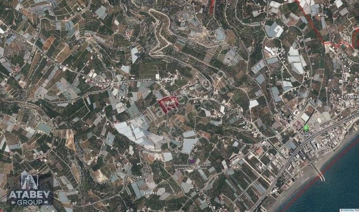 Atabey Group`dan Muhteşem Yerde Limon Bahçesi