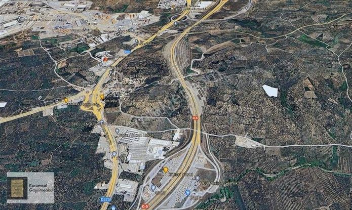 Gemlik Engürücük De Satılık 21.689 M2 Zeytinlik